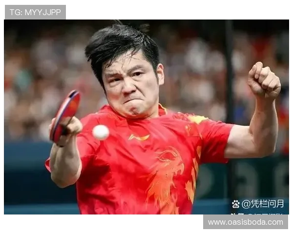 乒乓球盛宴:深入解析北京乒乓球队员的个人技术与实力之旅